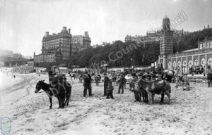 Donkeys at South Sands, Scarborough
